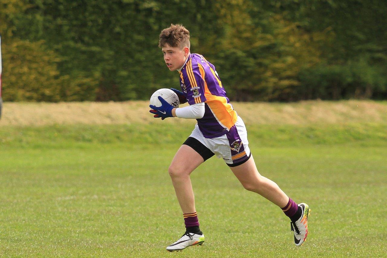 Féile B Team - Reports and Photographs