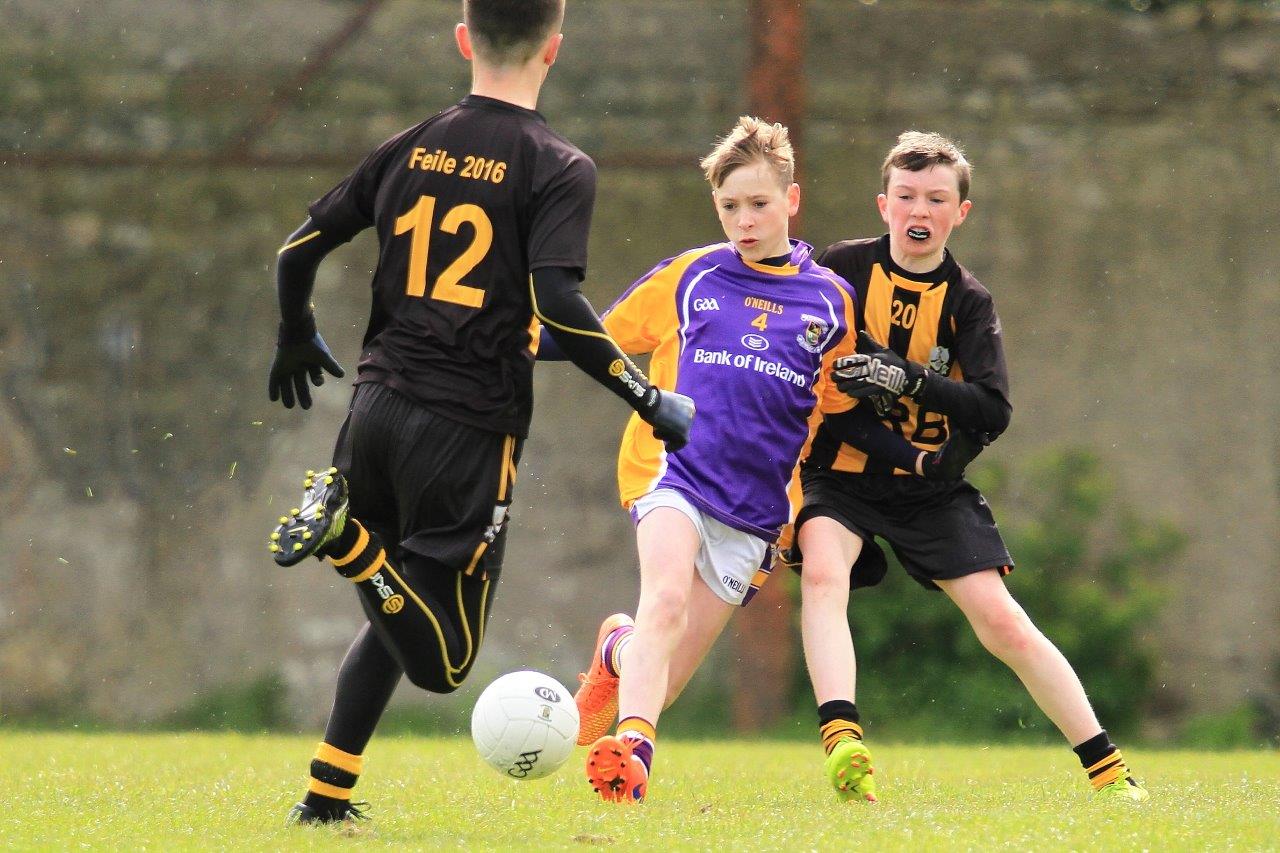 Féile B Team - Reports and Photographs