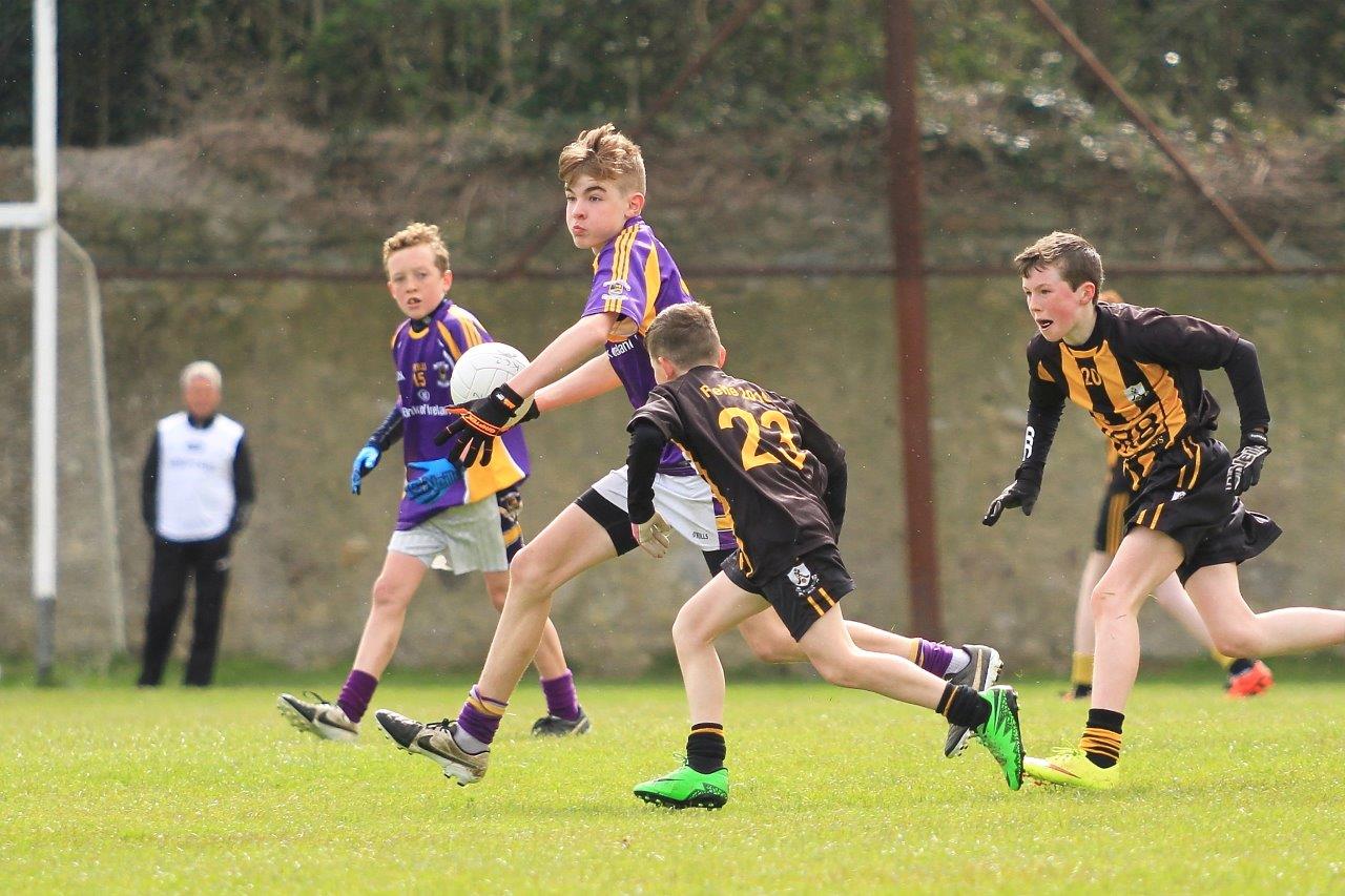 Féile B Team - Reports and Photographs