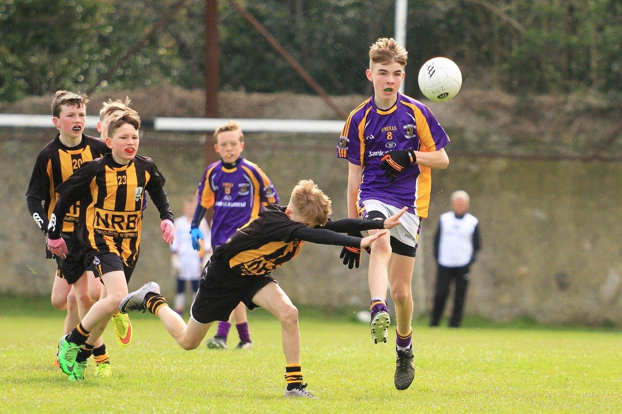 Féile B Team - Reports and Photographs