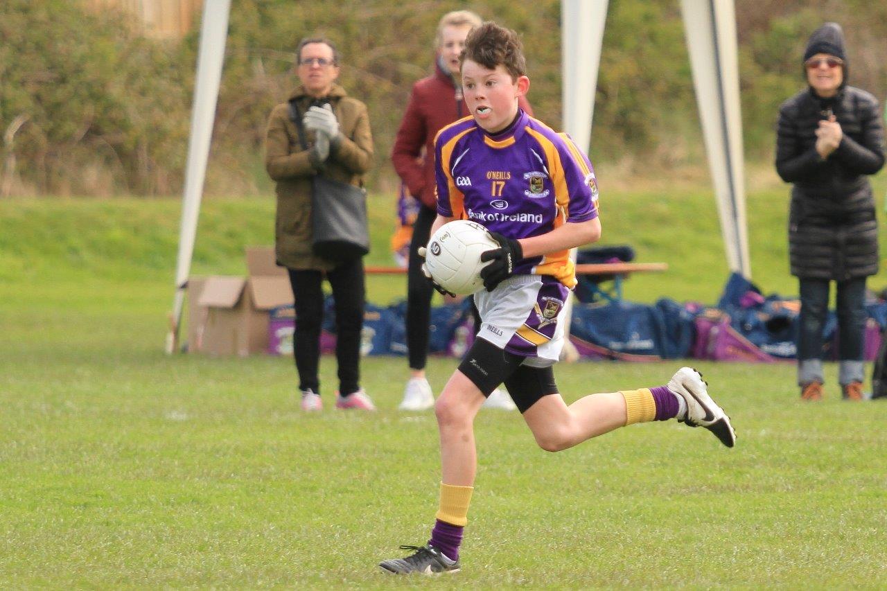 Féile B Team - Reports and Photographs