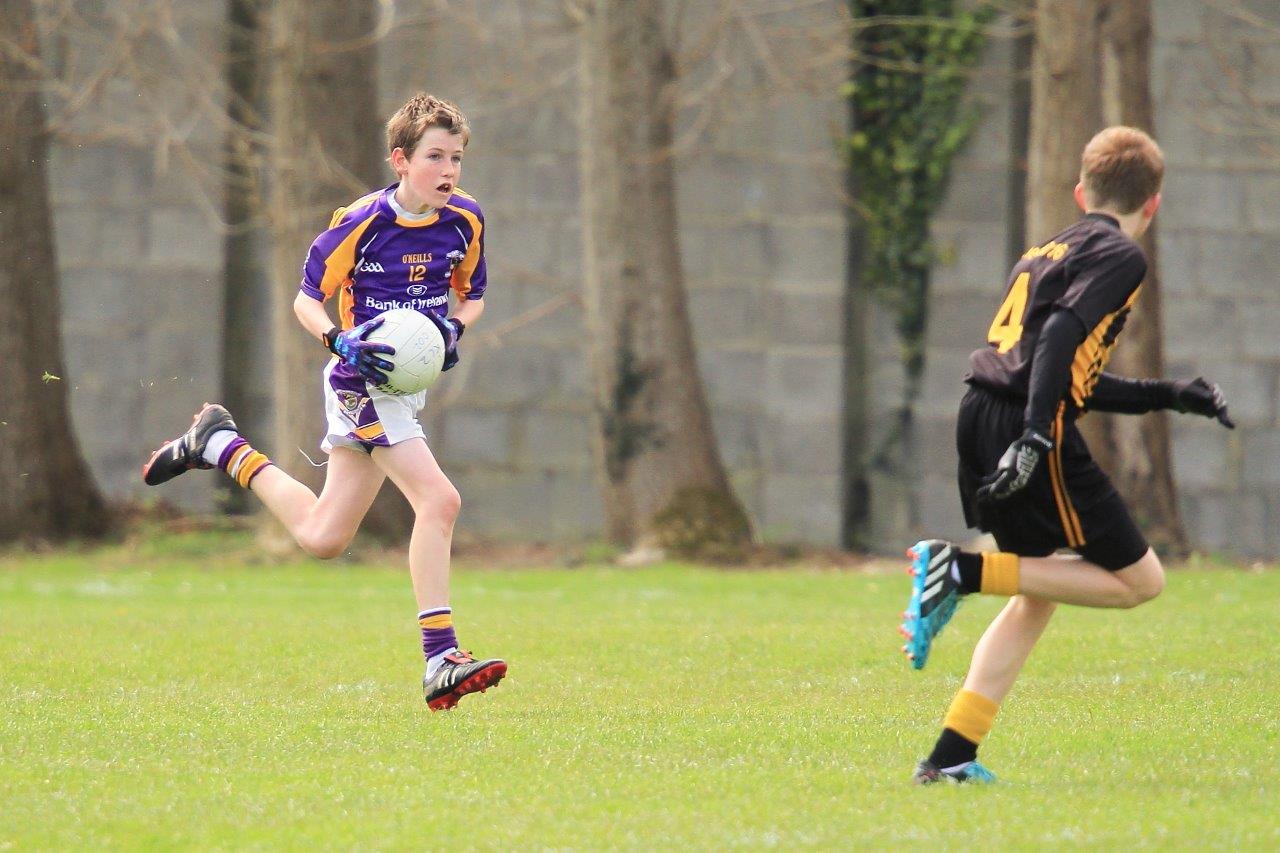 Féile B Team - Reports and Photographs