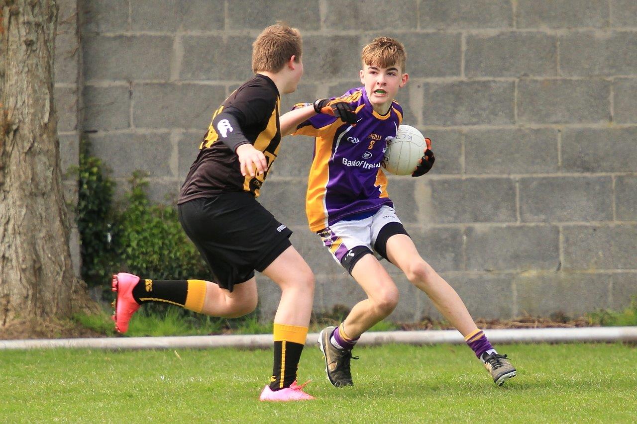 Féile B Team - Reports and Photographs