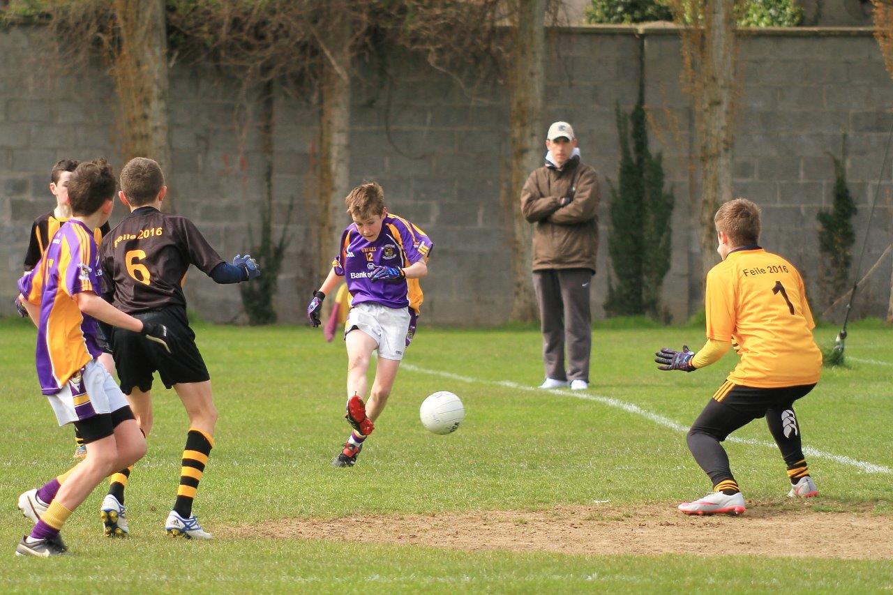 Féile B Team - Reports and Photographs