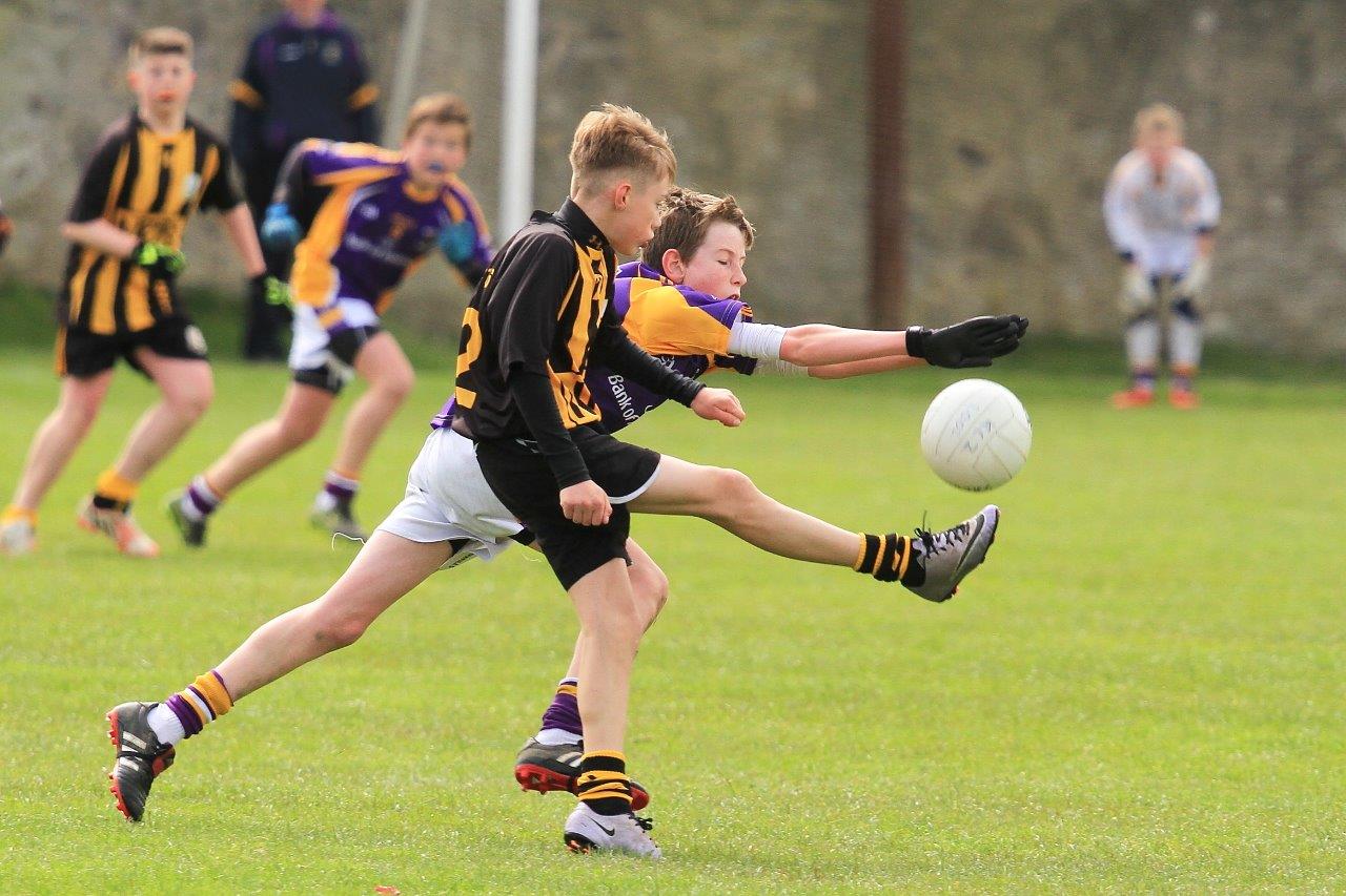 Féile B Team - Reports and Photographs