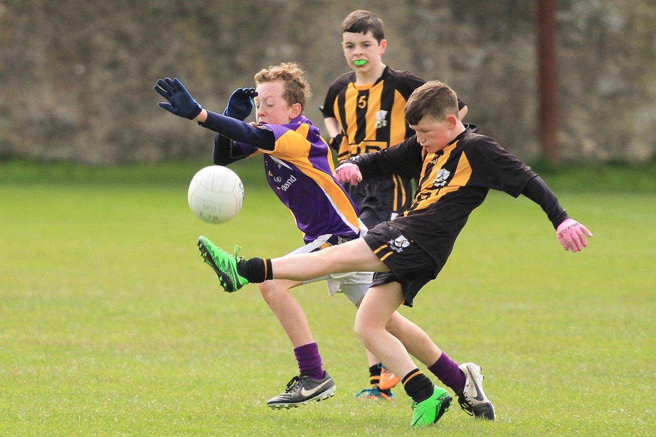 Féile B Team - Reports and Photographs