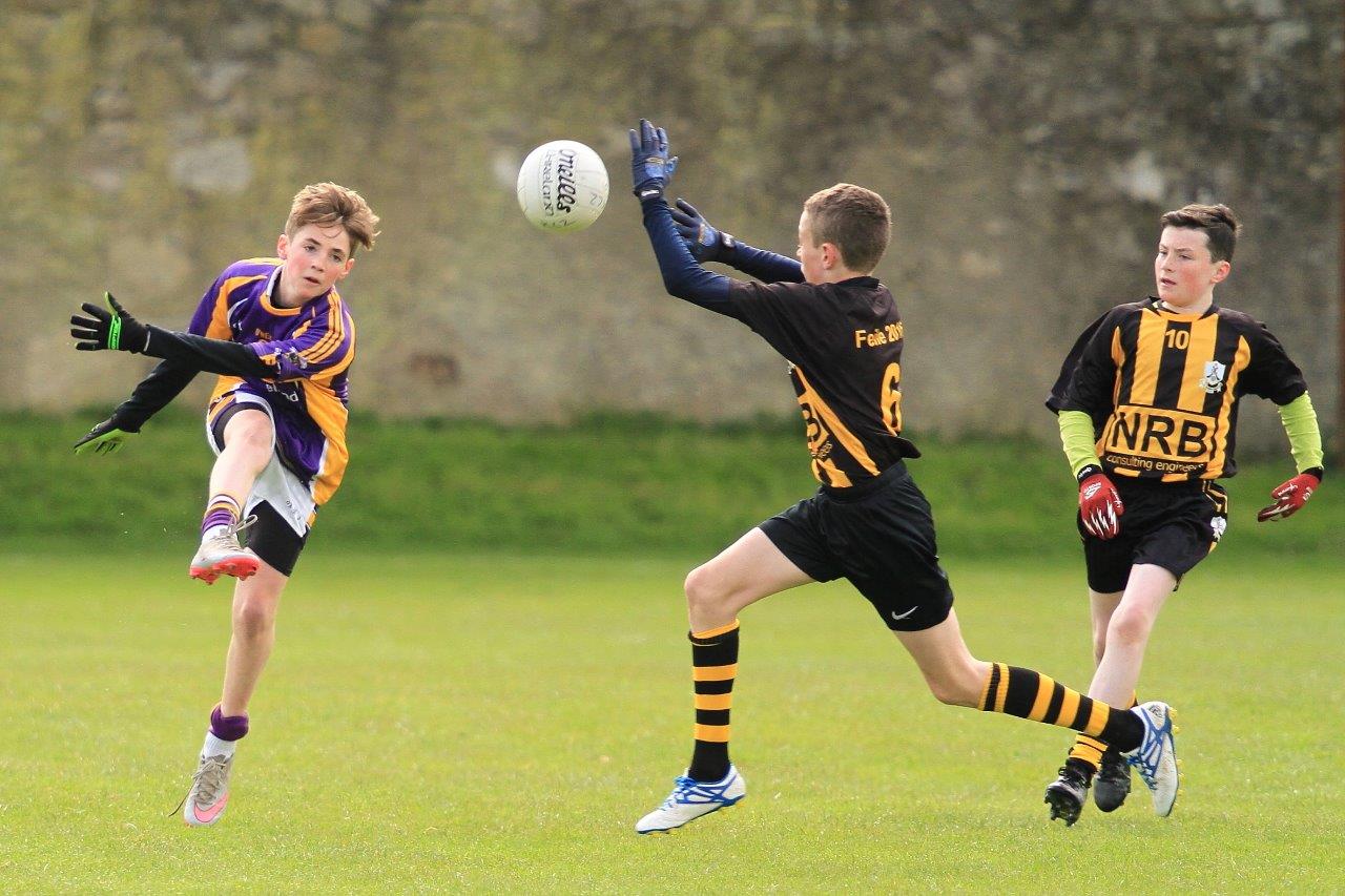 Féile B Team - Reports and Photographs