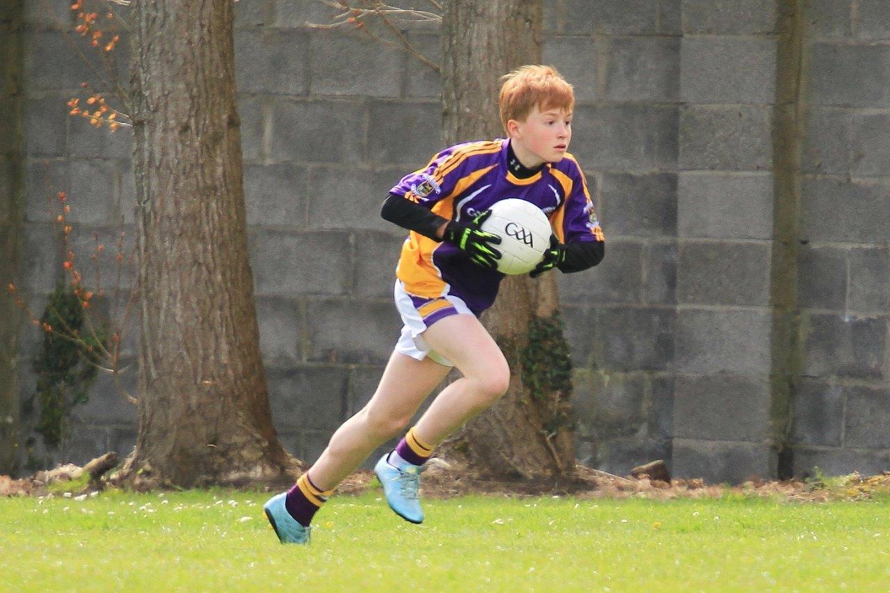 Féile B Team - Reports and Photographs