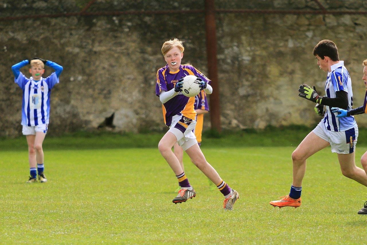 Féile B Team - Reports and Photographs