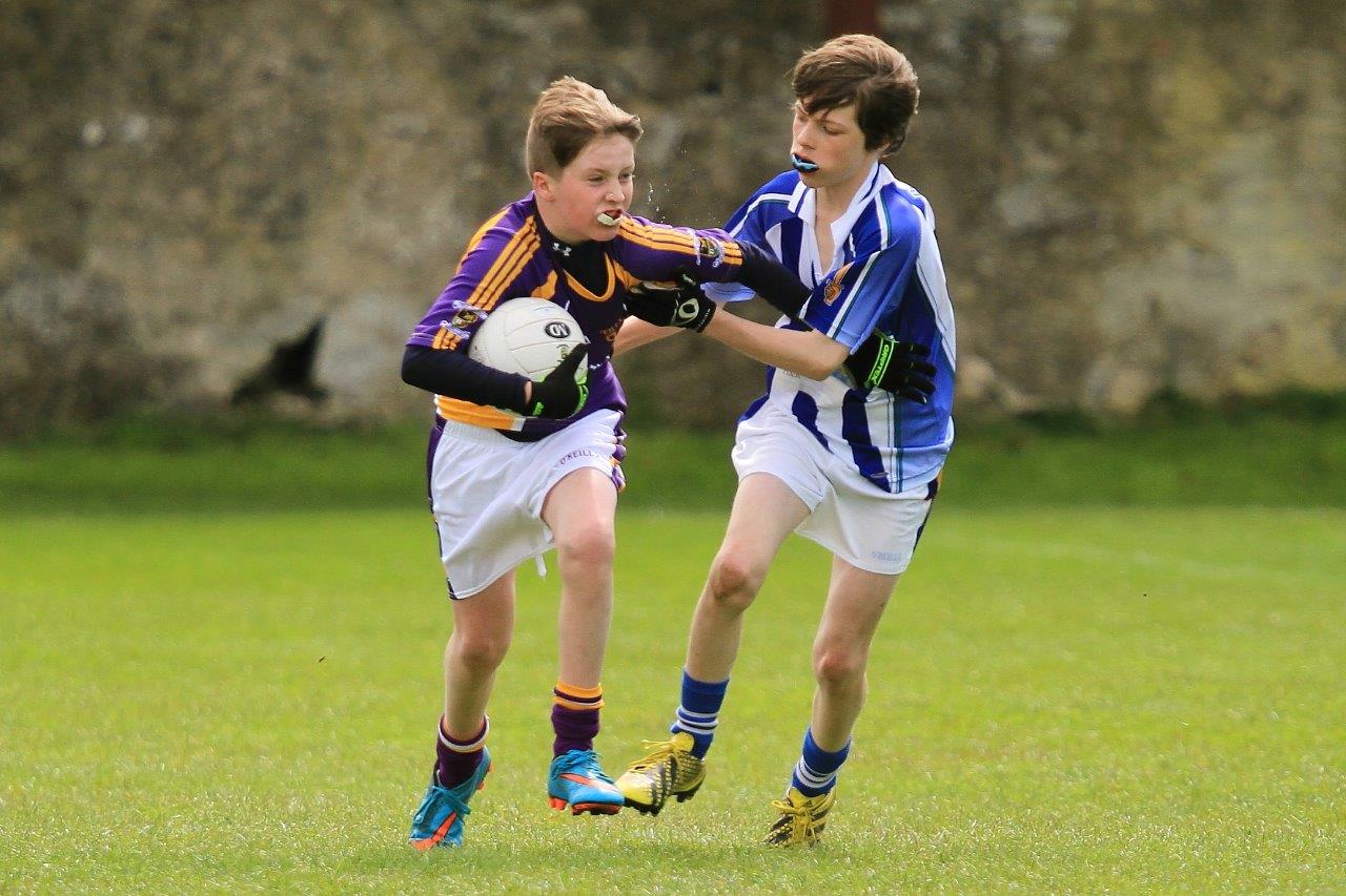 Féile B Team - Reports and Photographs