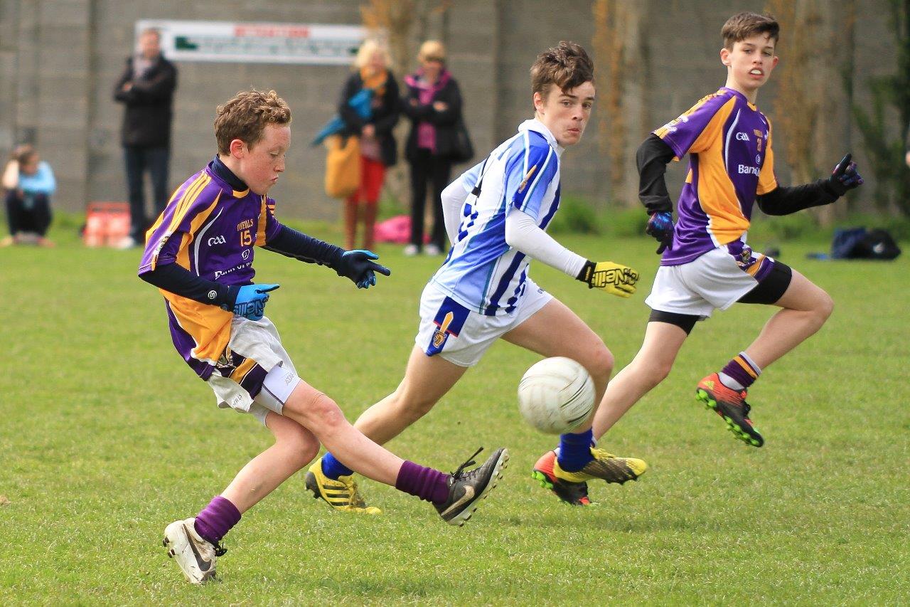 Féile B Team - Reports and Photographs