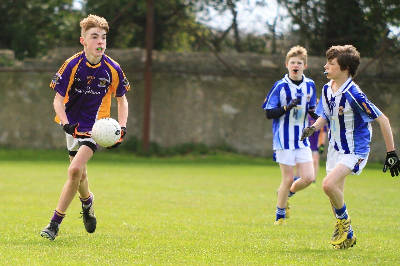 Féile B Team - Reports and Photographs