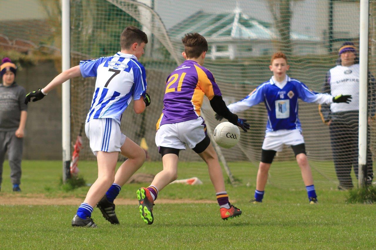 Féile B Team - Reports and Photographs