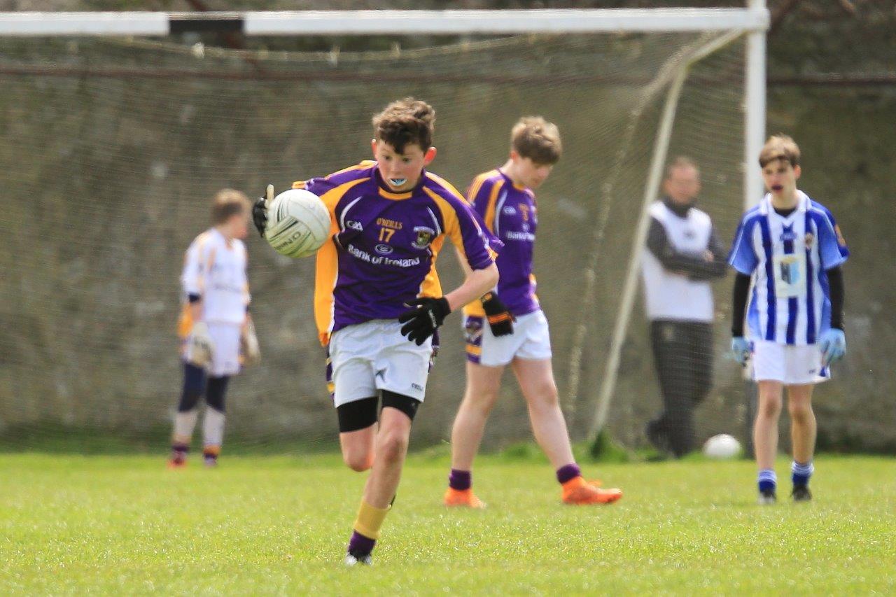 Féile B Team - Reports and Photographs