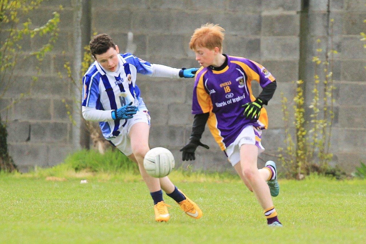 Féile B Team - Reports and Photographs