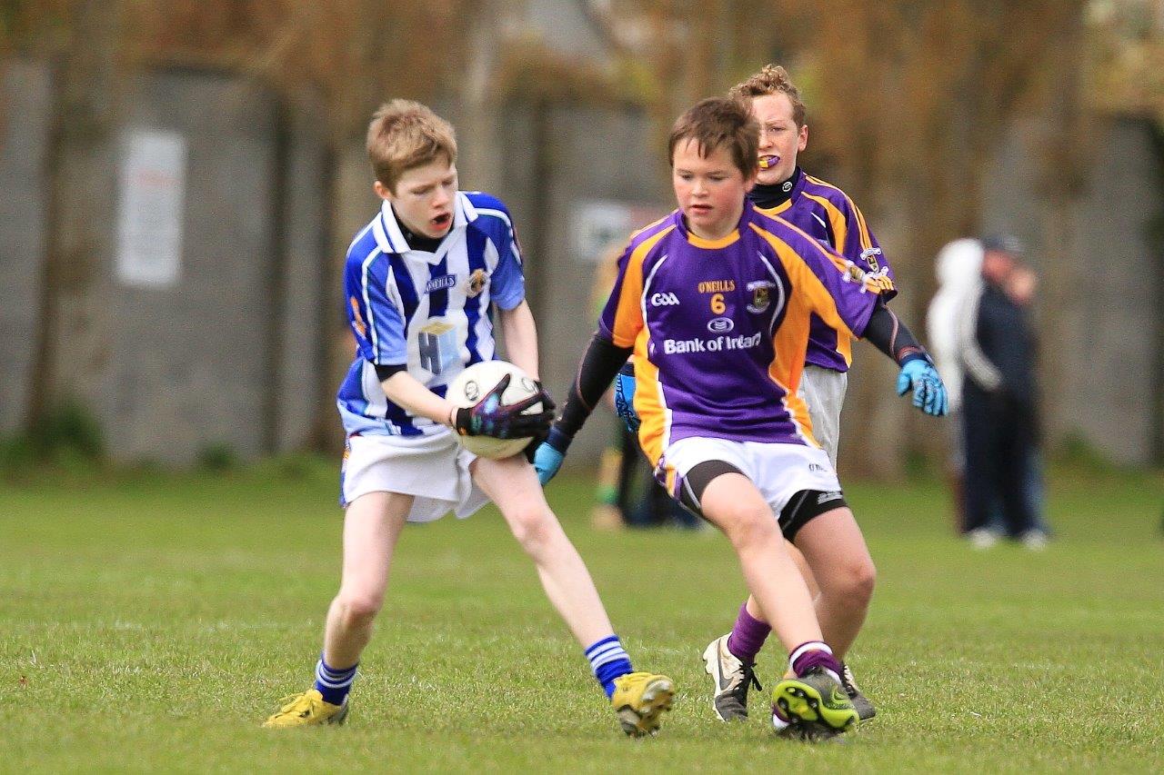 Féile B Team - Reports and Photographs