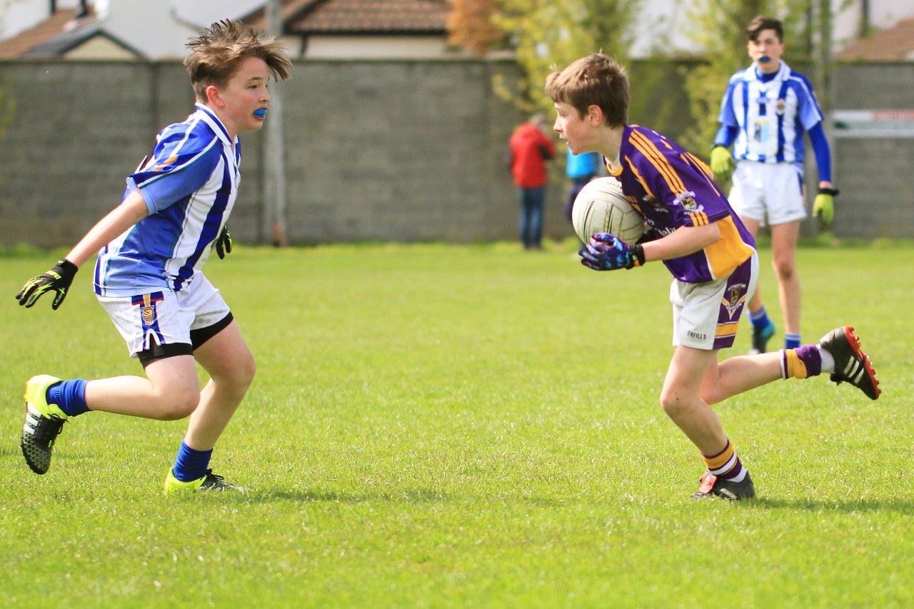 Féile B Team - Reports and Photographs