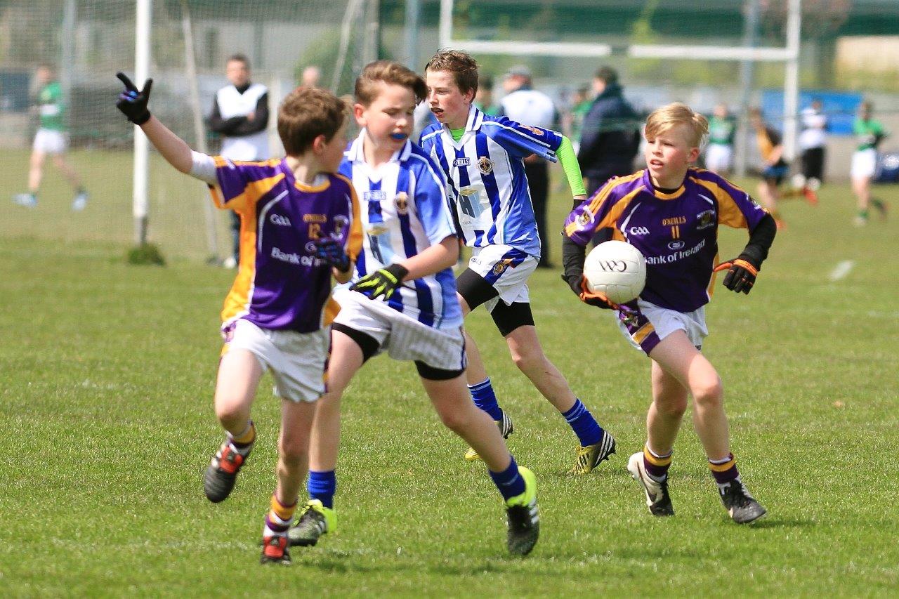 Féile B Team - Reports and Photographs