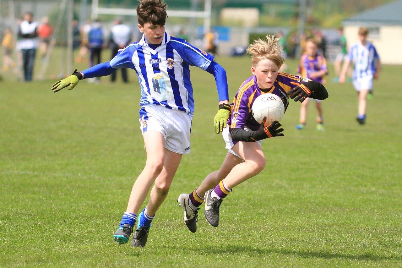 Féile B Team - Reports and Photographs