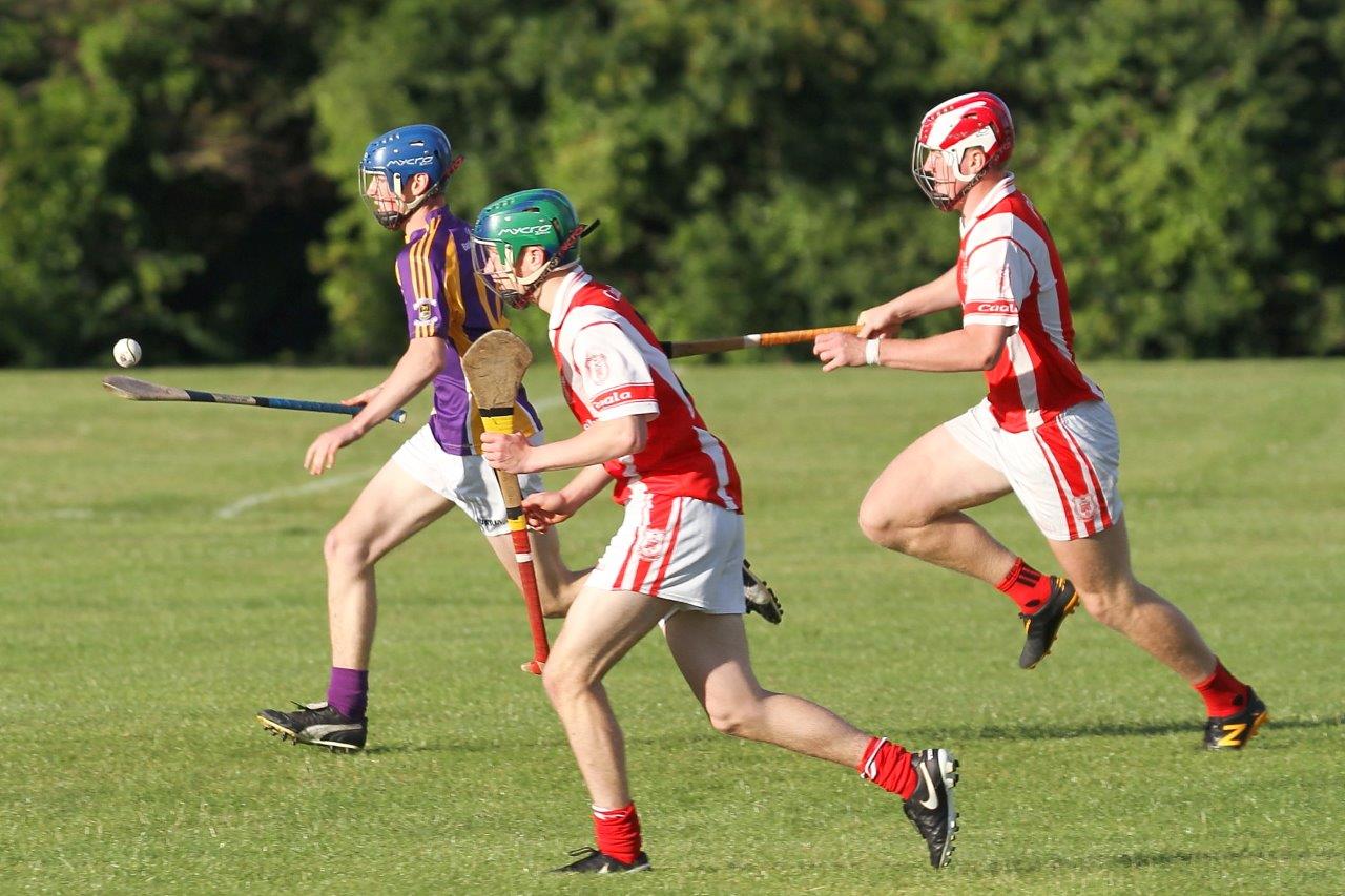 Crokes take the points in MHL1 v Cuala