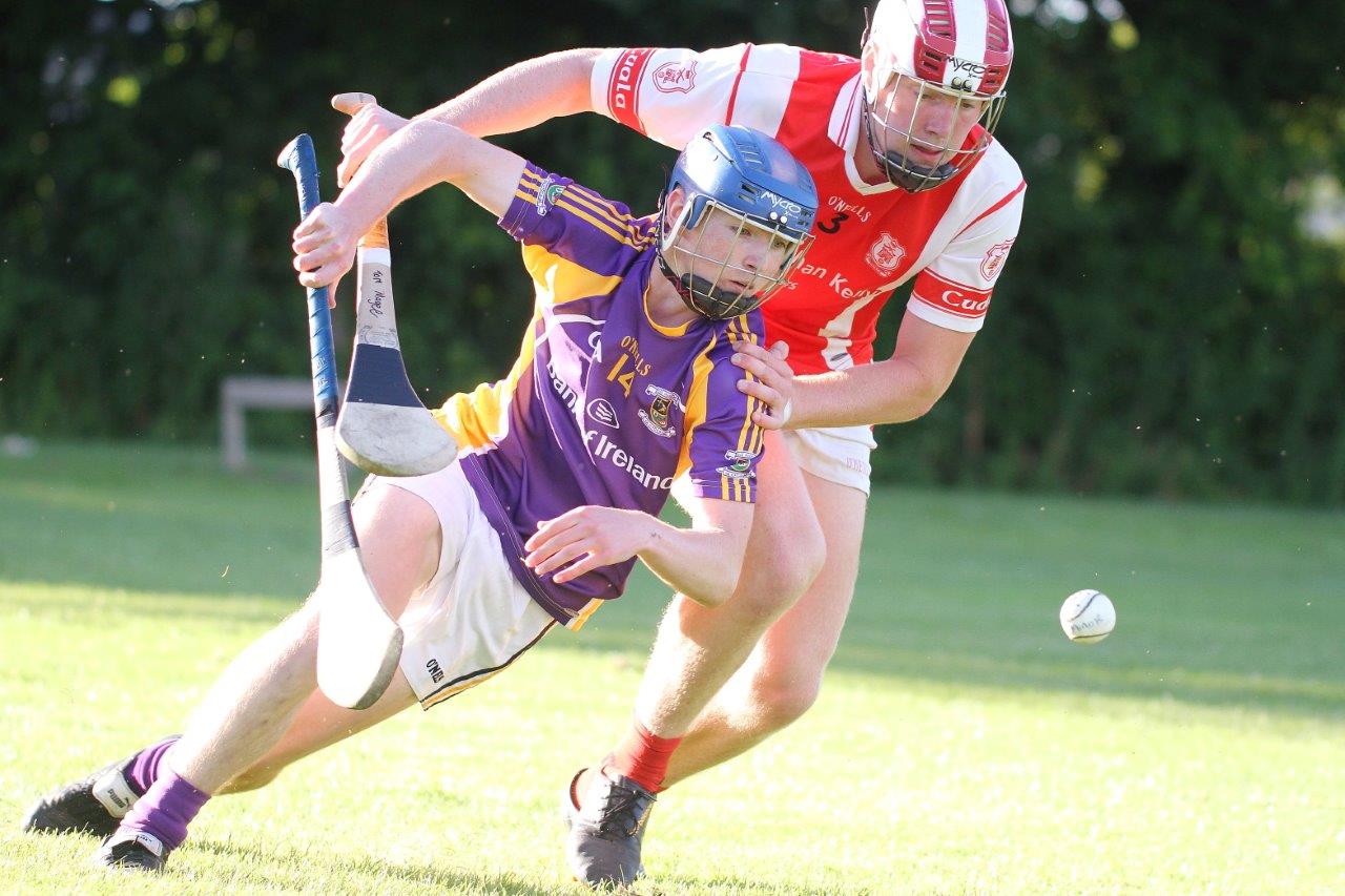 Crokes take the points in MHL1 v Cuala