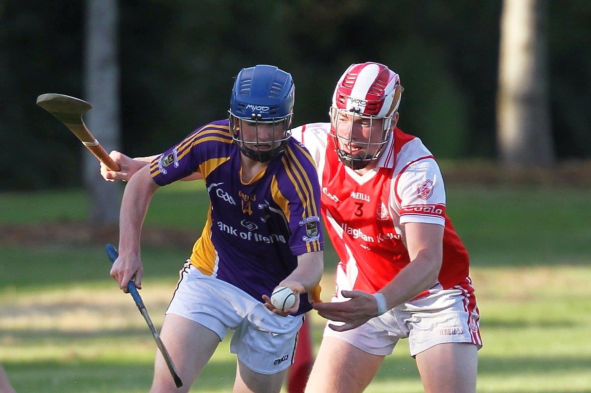 Crokes take the points in MHL1 v Cuala