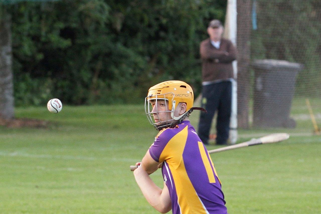 Crokes take the points in MHL1 v Cuala