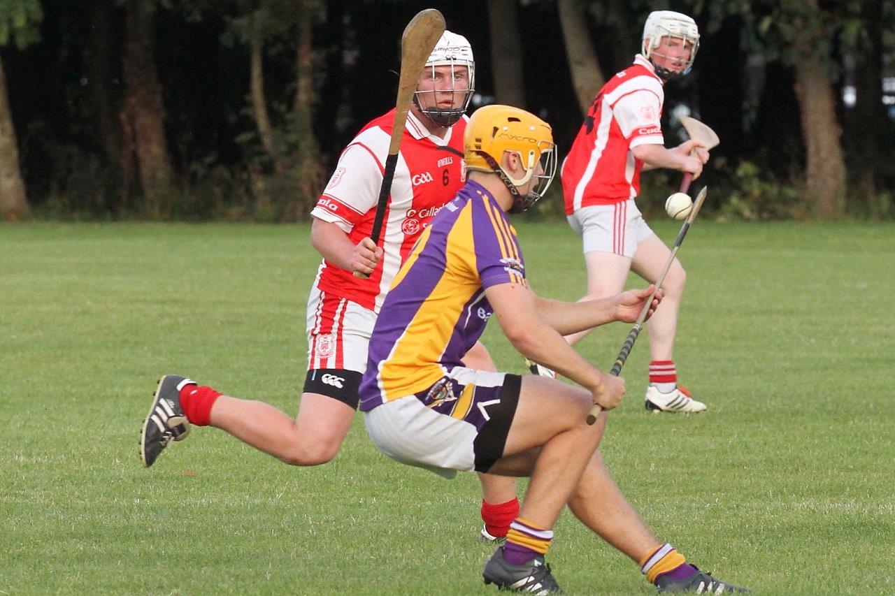 Crokes take the points in MHL1 v Cuala