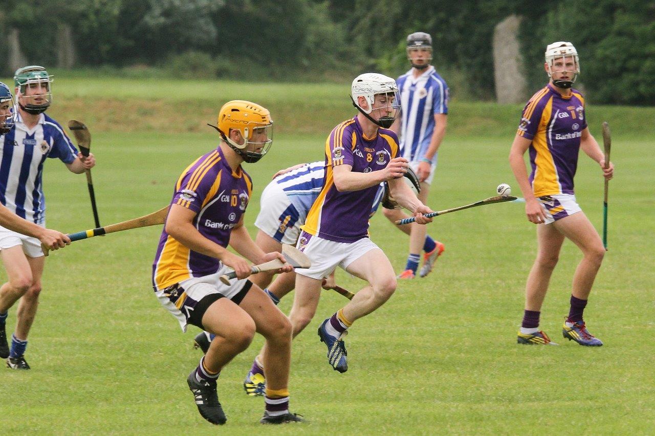 Minor A Hurlers lose out to Boden