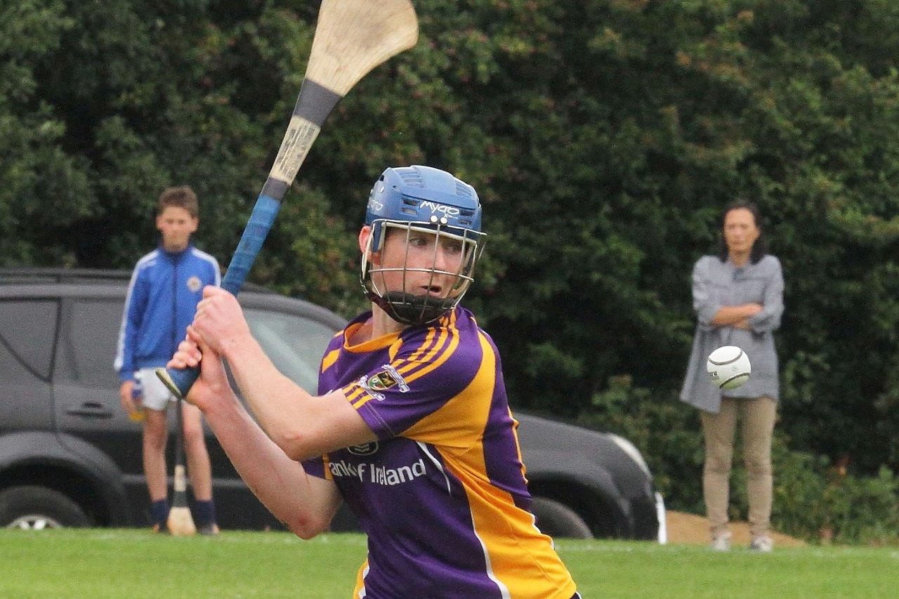 Minor A Hurlers lose out to Boden