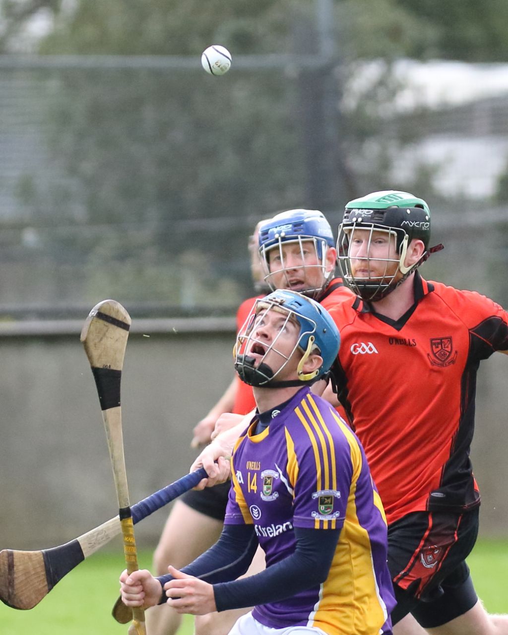 SHCA v Ballinteer