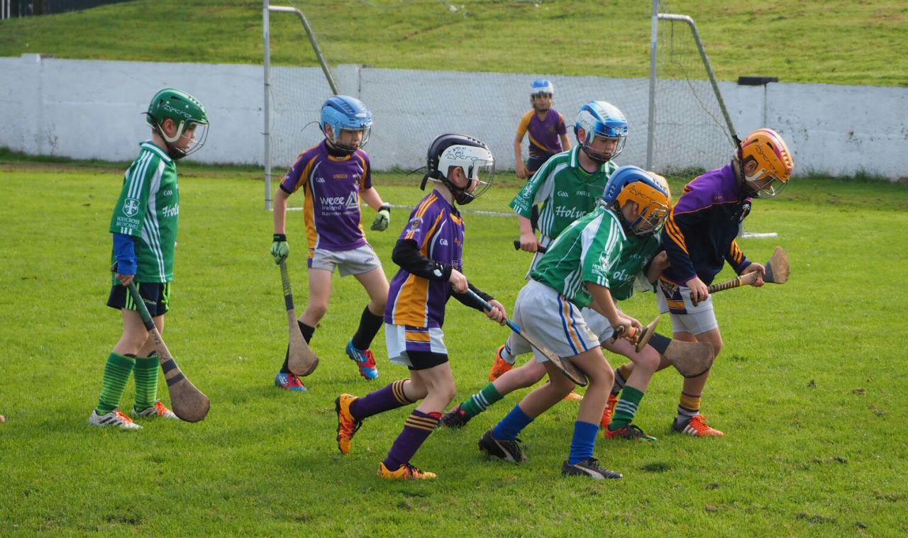 2016 U8 JK Brackens blitz