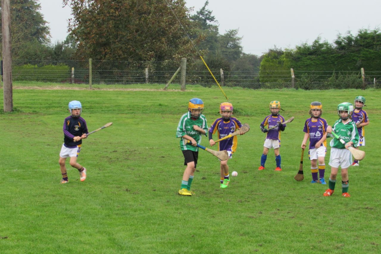 2016 U8 JK Brackens blitz