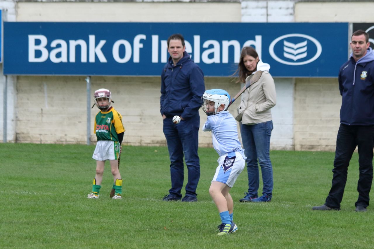 U8's Hurling Blitz