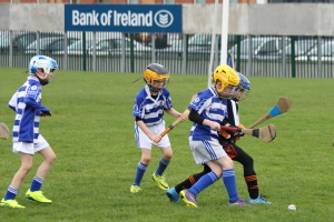 U8's Hurling Blitz