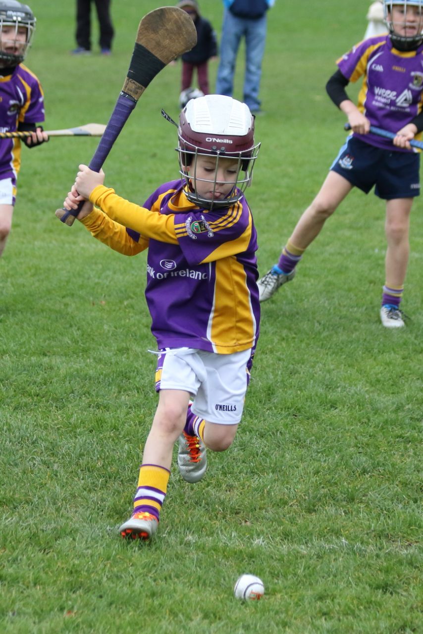 U8's Hurling Blitz