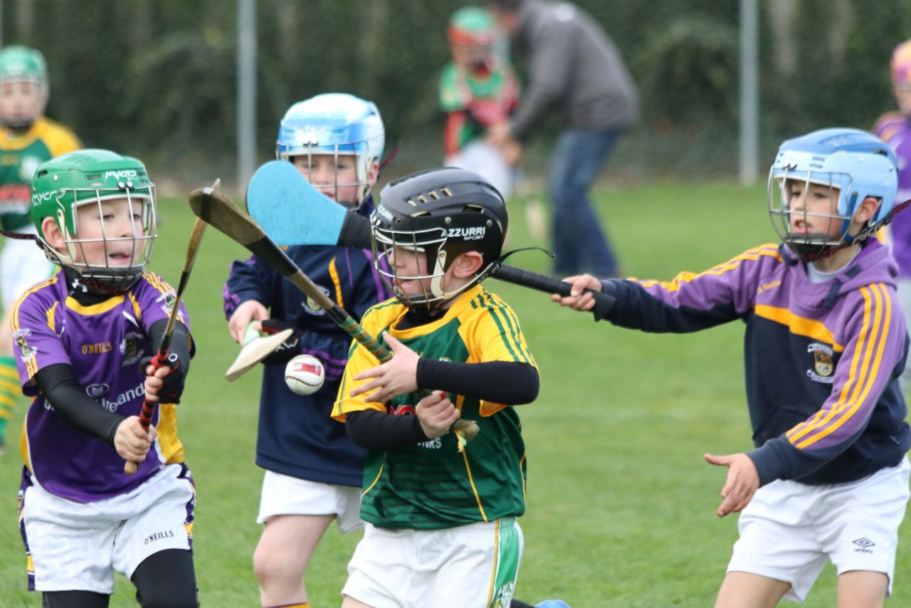 U8's Hurling Blitz