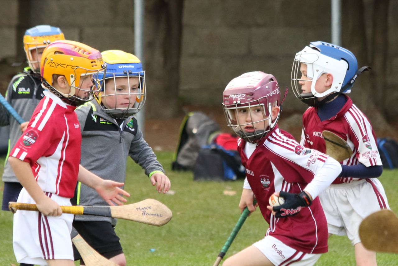 U8's Hurling Blitz