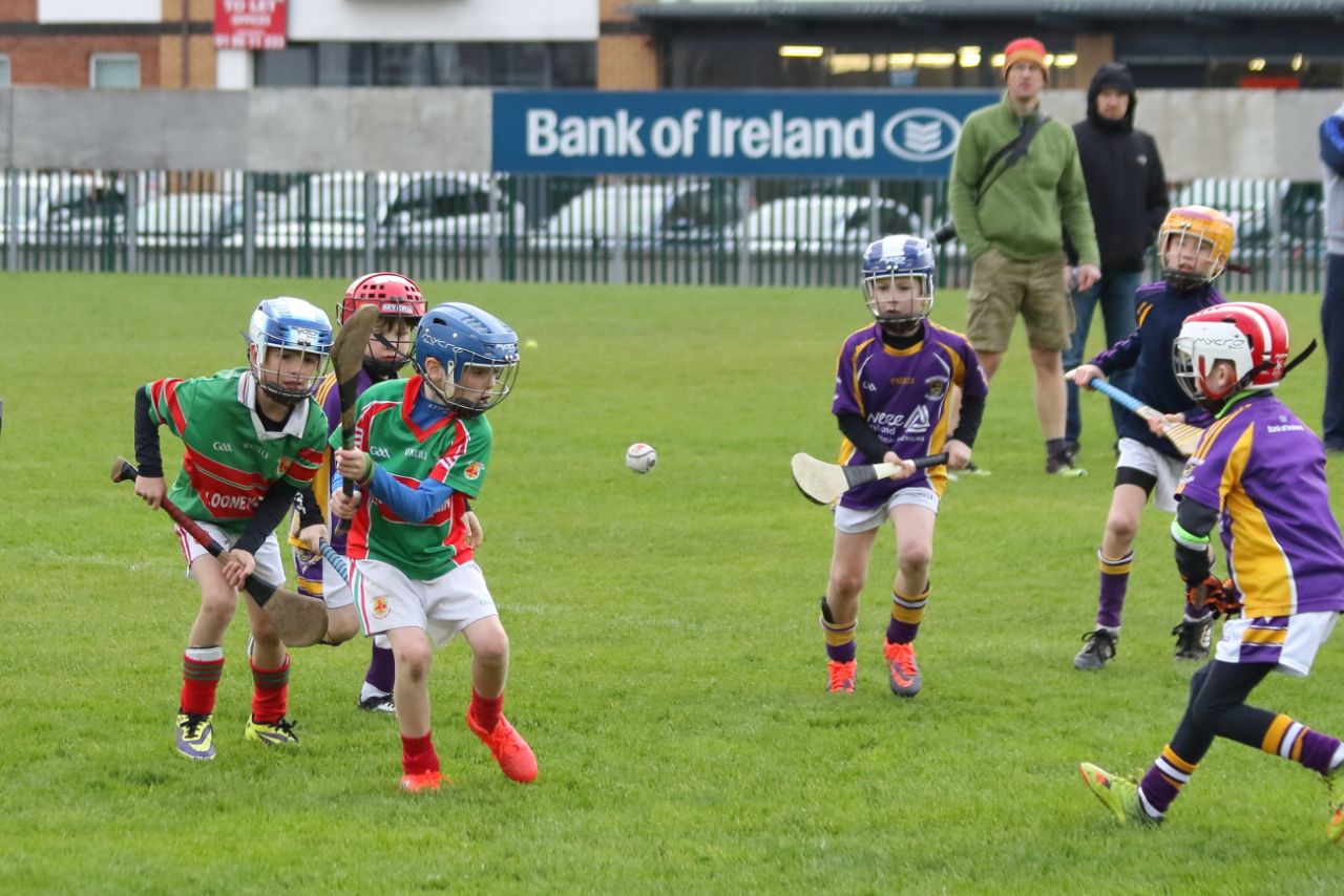 U8's Hurling Blitz