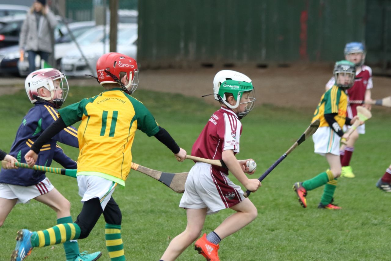 U8's Hurling Blitz