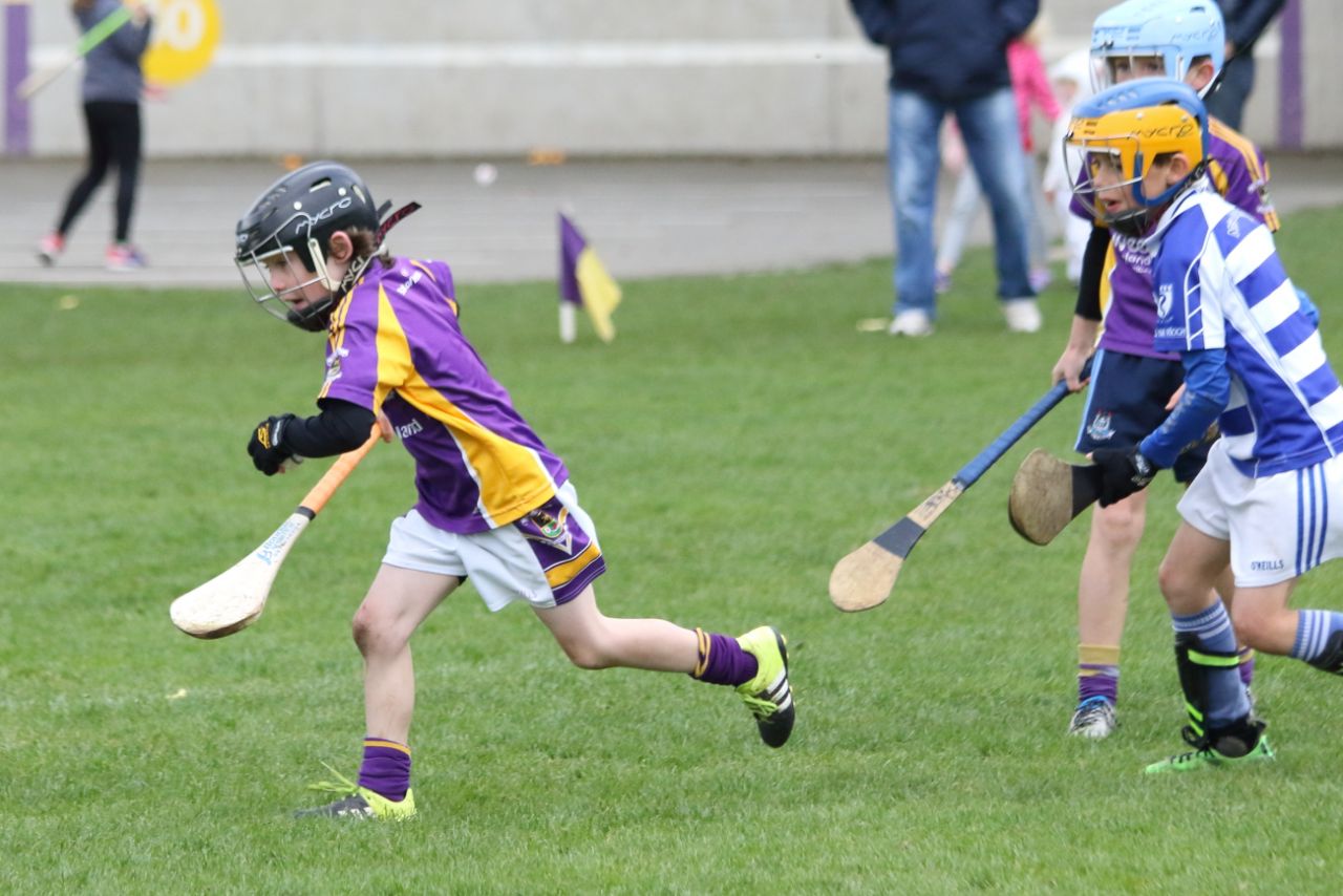 U8's Hurling Blitz