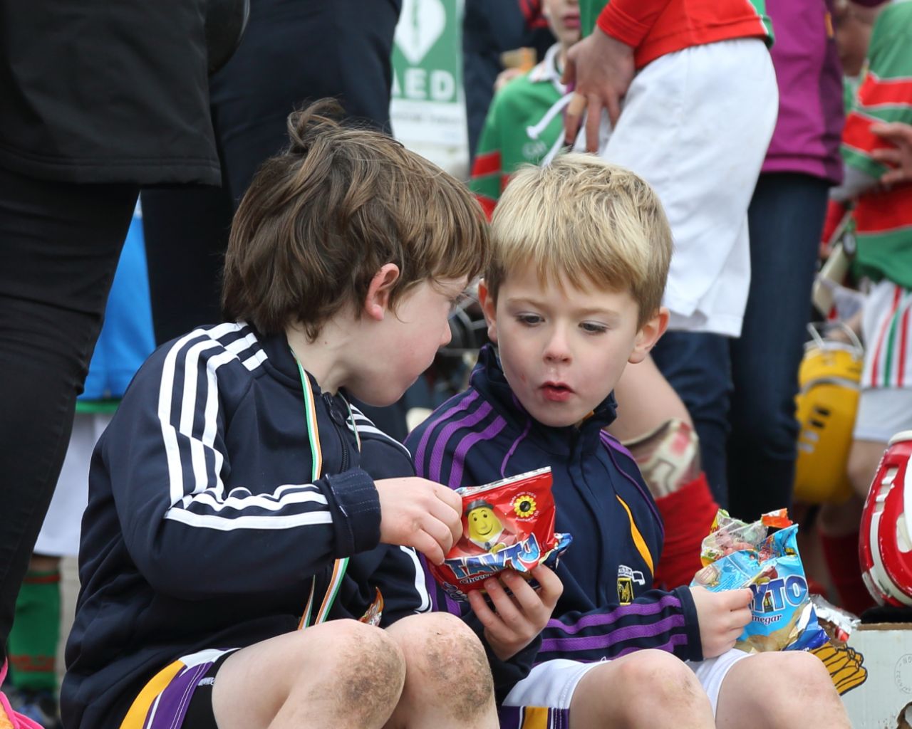 U8's Hurling Blitz