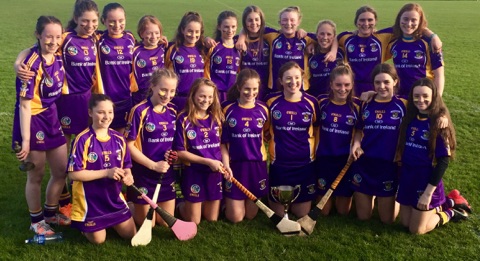 Crokes Camogie Under 14s continue their winning streak with Camogie County Championship