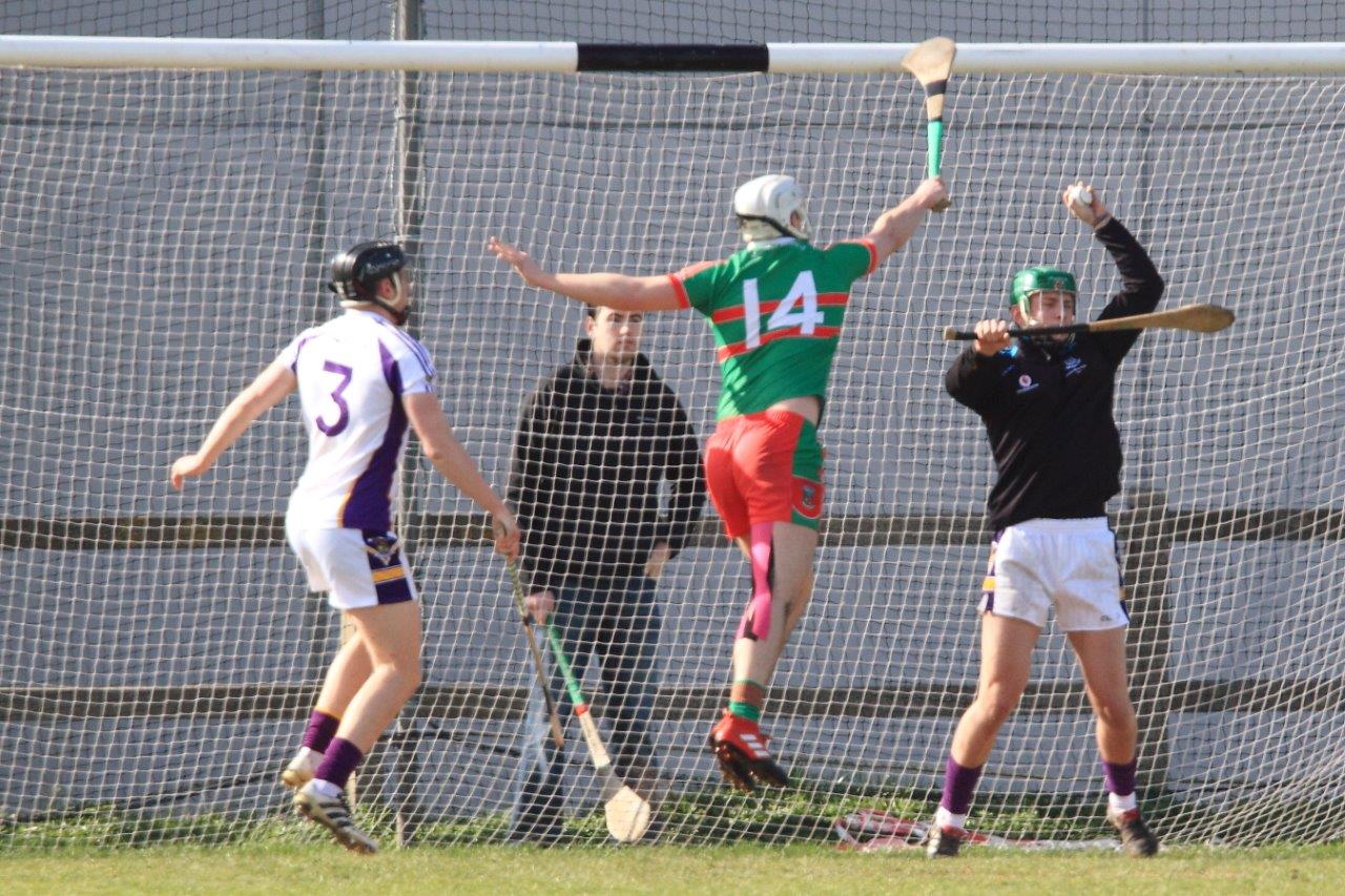 AHL2 - Naomh Barrog vs Kilmacud Crokes