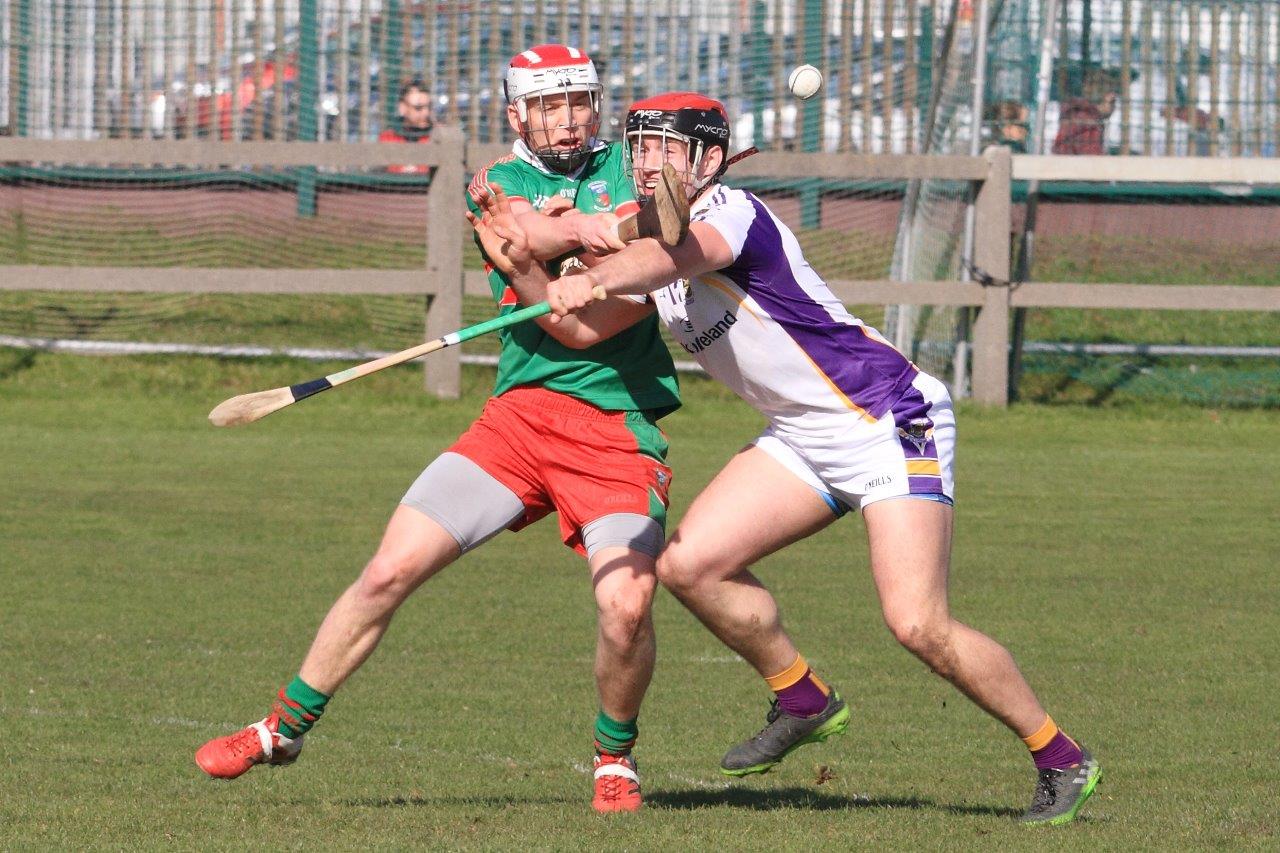 AHL2 - Naomh Barrog vs Kilmacud Crokes