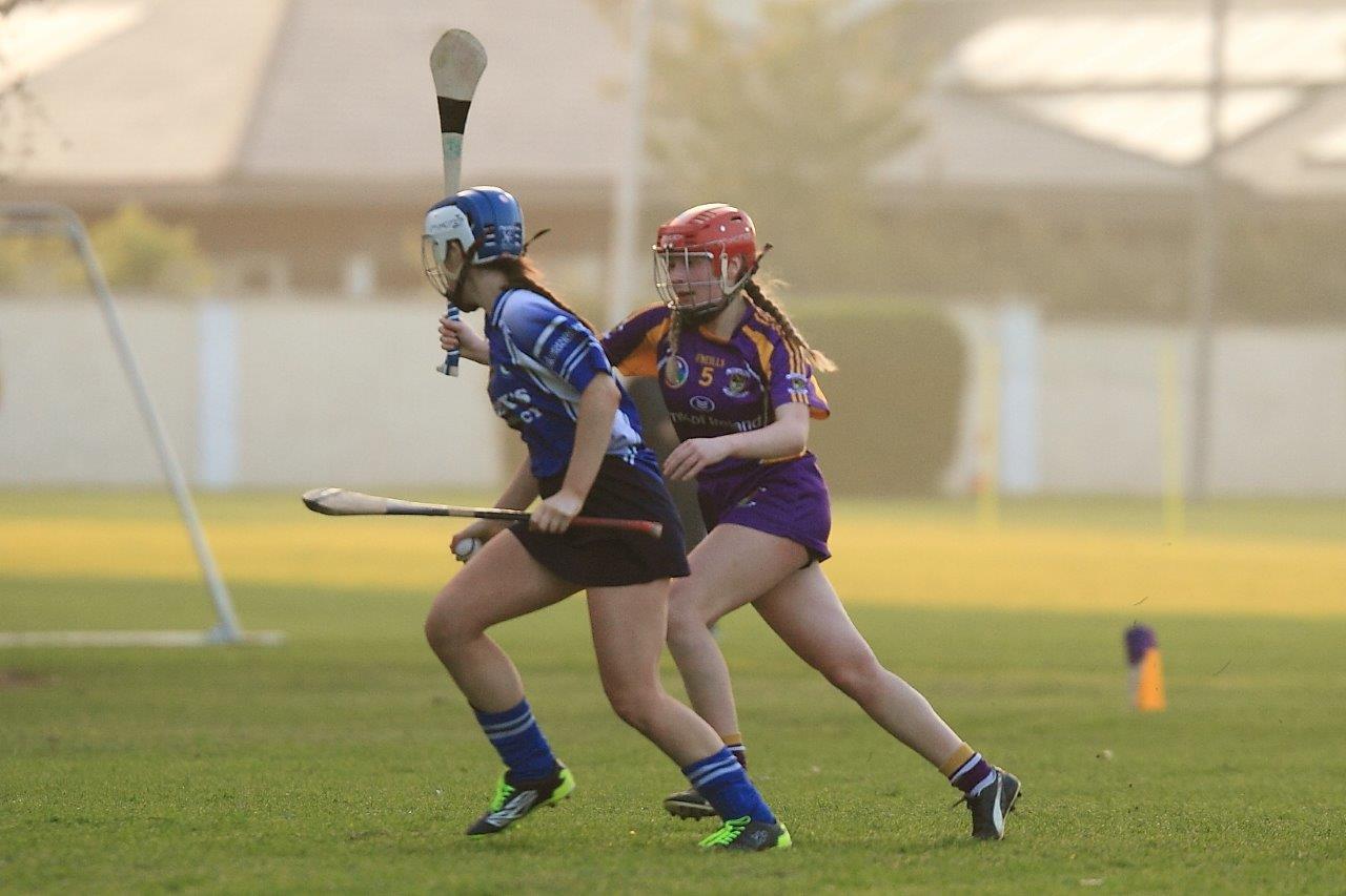 Senior 1 Camogie Team finish out league