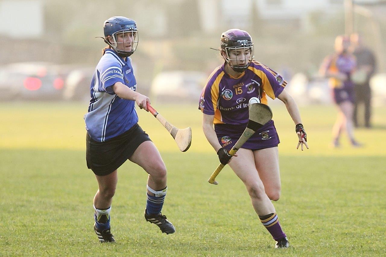 Senior 1 Camogie Team finish out league