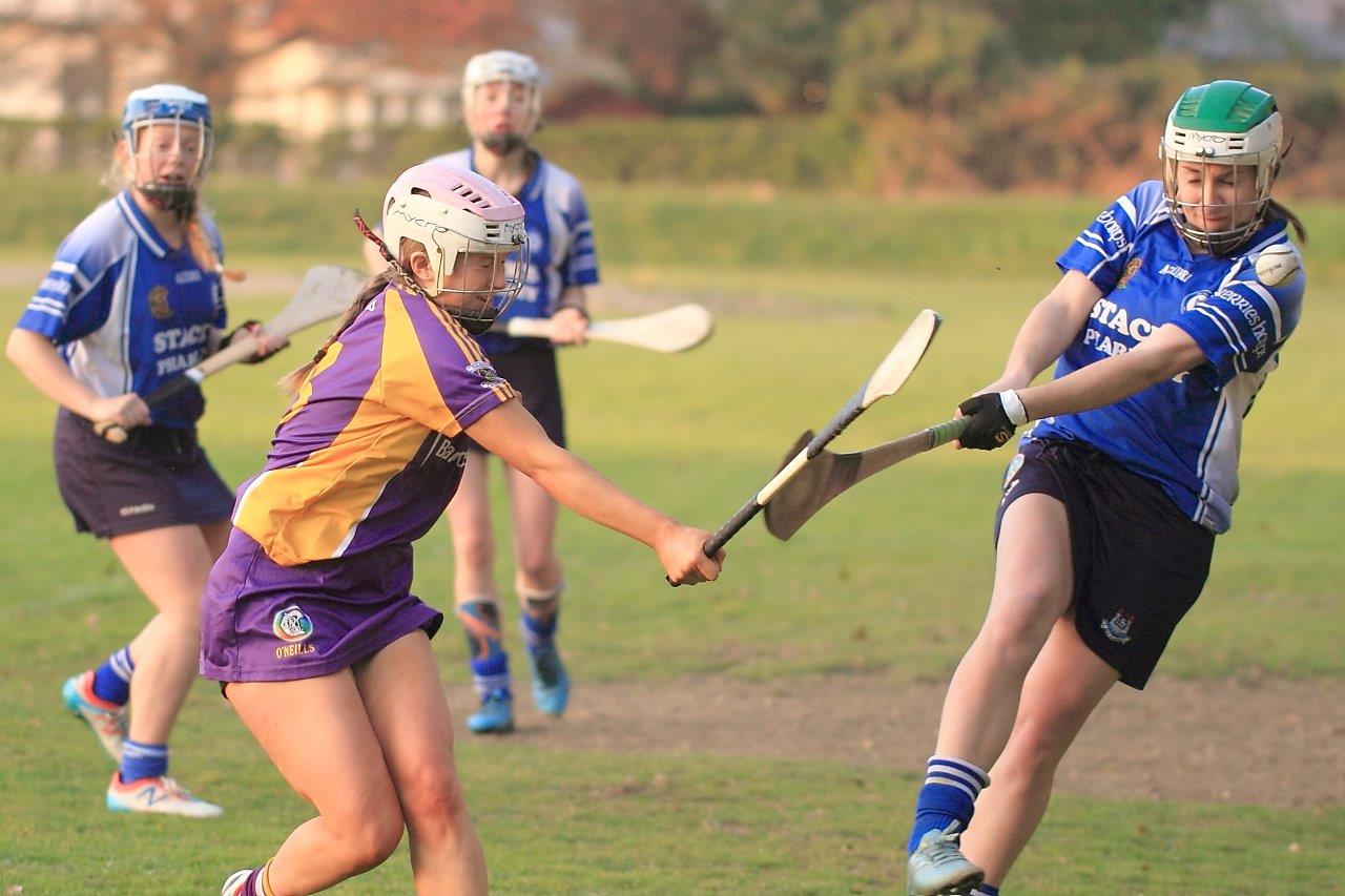 Senior 1 Camogie Team finish out league