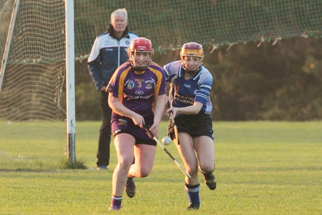 Senior 1 Camogie Team finish out league