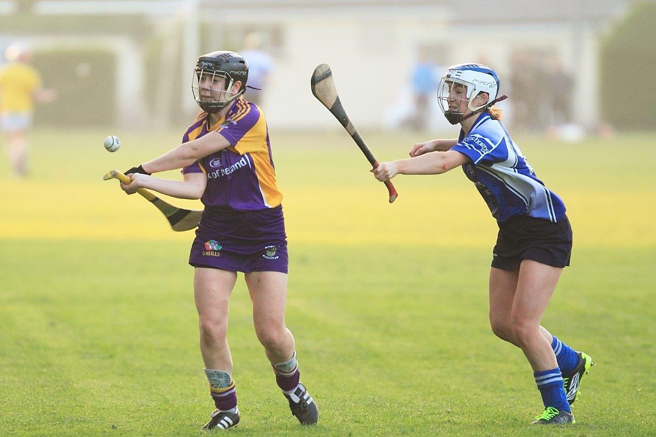 Senior 1 Camogie Team finish out league